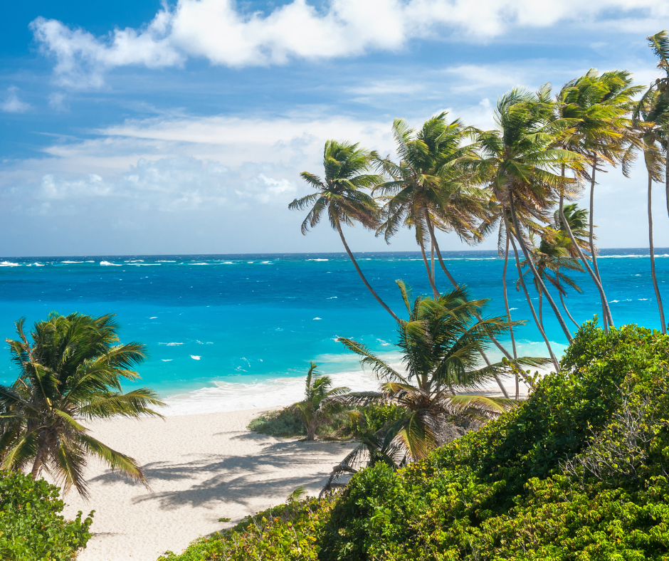 January Barbados